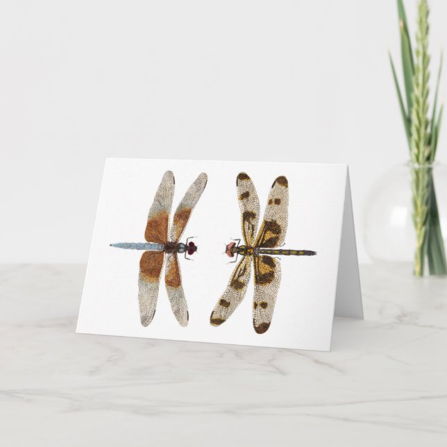 2 Libellen Karte (Vorderseite)