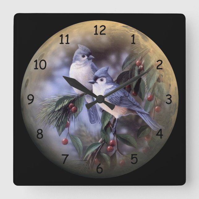 2 Niedliche blaue Jay auf einer Zweigstelle der Be Quadratische Wanduhr (Vorderseite)