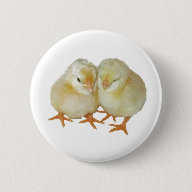2 Niedliche Gelbe Baskenküken Button (Vorderseite)