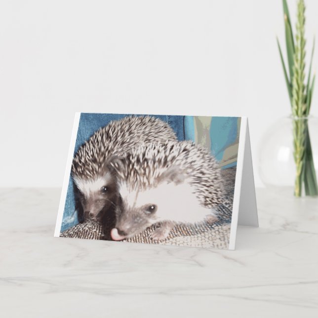 2 niedliche Igel Karte (Vorderseite)