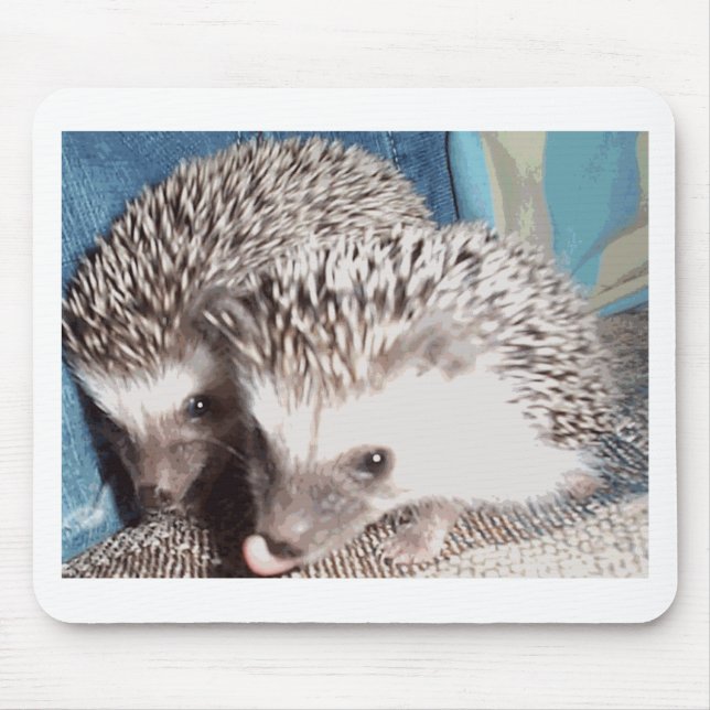 2 niedliche Igel Mousepad (Vorne)