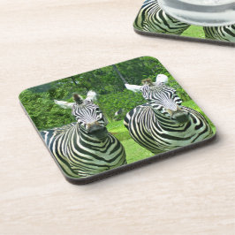 2 Niedliches Zebras Getränkeuntersetzer