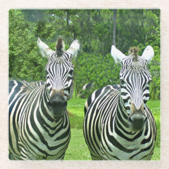 2 Niedliches Zebras Glasuntersetzer (Vorderseite)