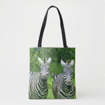 2 Niedliches Zebras