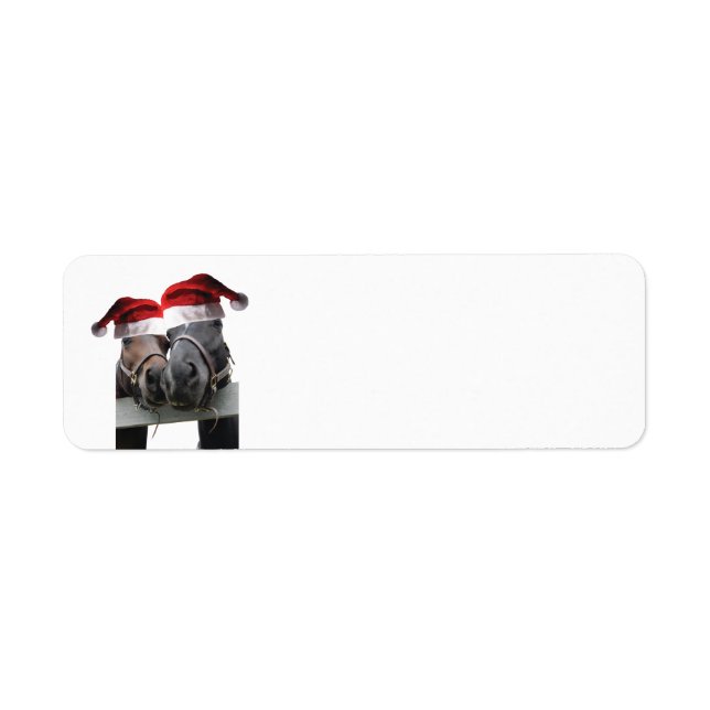 2 Pferde mit Weihnachtsmützen zu Weihnachten (Vorne)