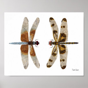 2 Poster d'Art Dragonflies