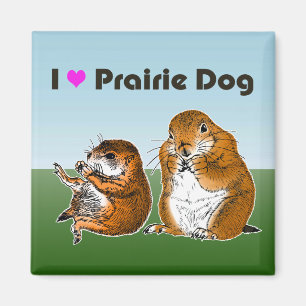 2 Präriehunde (2) Magnet