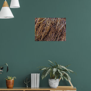 2 Print, Poster Paper (Halbglanz)
