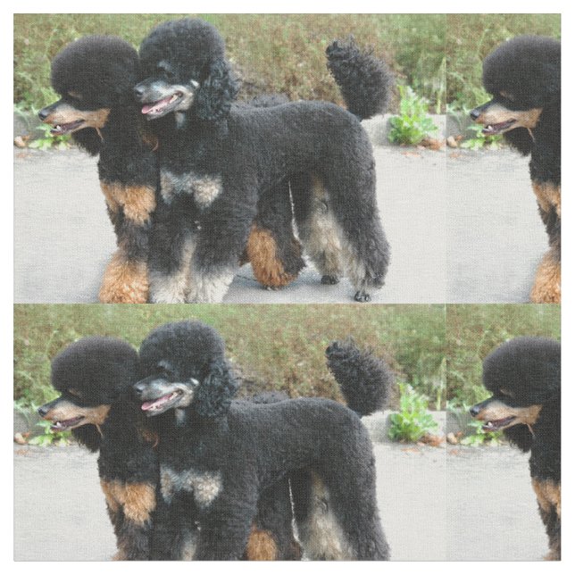 2 Pudel voll Stoff (Nahaufnahme)