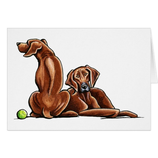 2 Rhodesian Ridgebacks (Vorderseite (Horizontal))