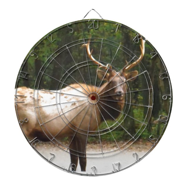 2 Rocky Mountain Elk Dartscheibe (vorne)