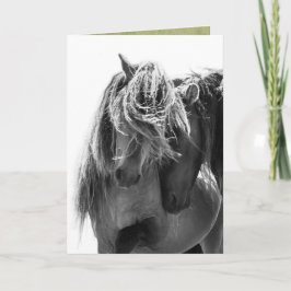 2 Sable Island Hengste Wild Horse Grußkarte Karte