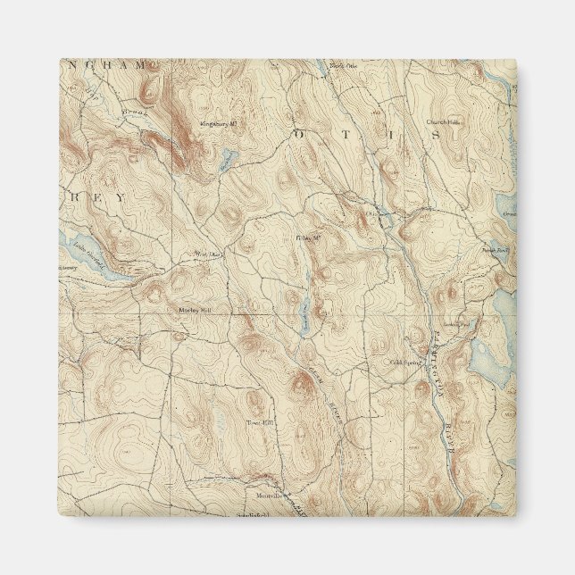 2 Sandisfield-Blatt Magnet (Vorne)