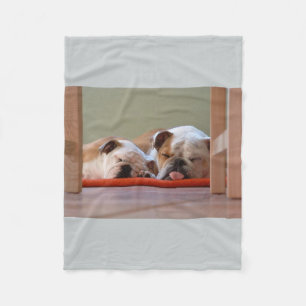 2 Schlafen bulldogs.png Fleecedecke