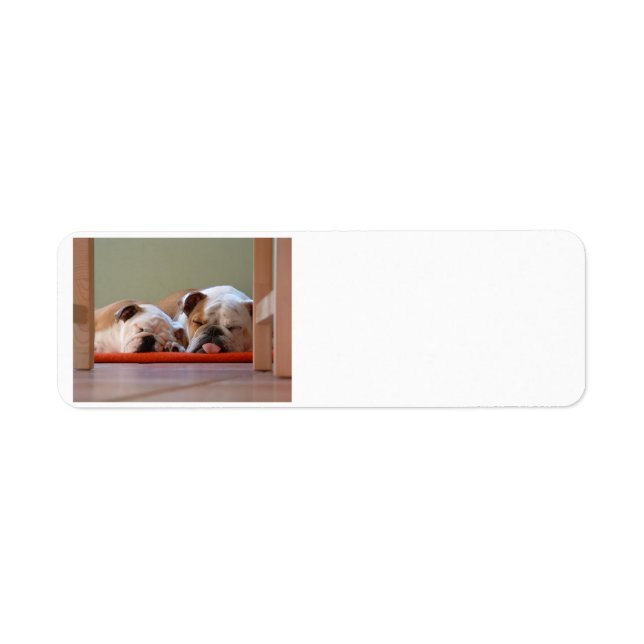 2 schlafende Bulldogs.png (Vorne)