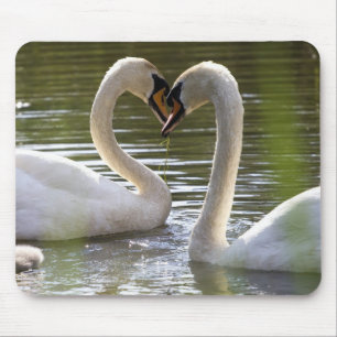 2 Schwäne im Wasser Mousepad