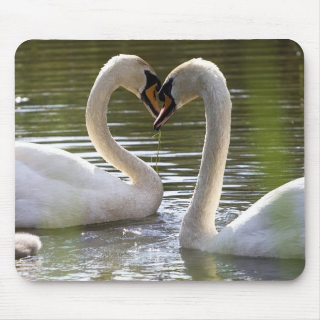 2 Schwäne im Wasser Mousepad (Vorne)
