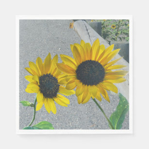 2 Sonnenblumen Hochzeit lässiges Land essen Party Serviette