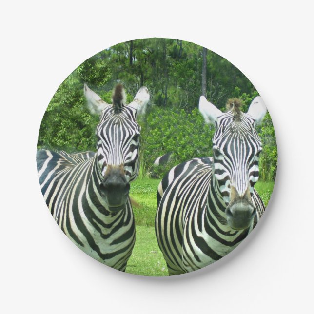 2 süße Zebras Pappteller (Vorderseite)