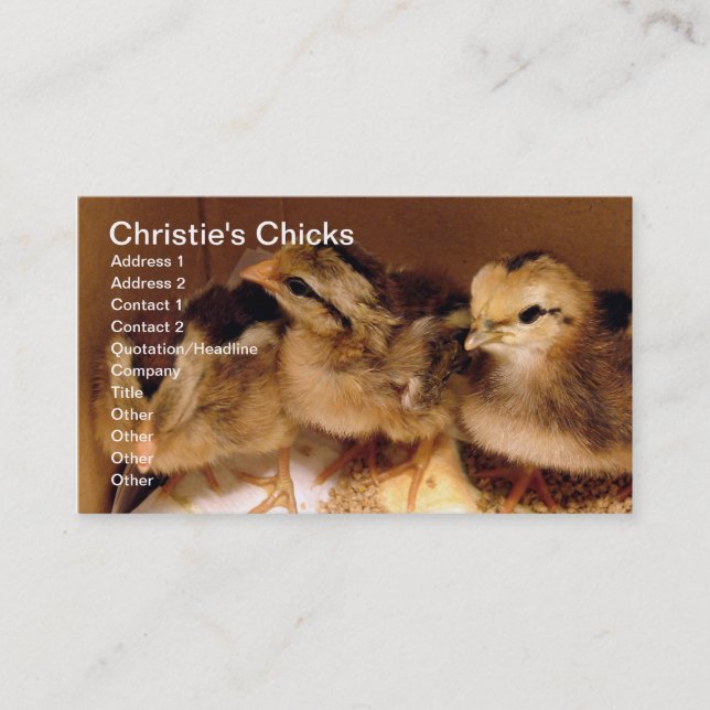 2-Tage-Chicks, Christie's Chicks Visitenkarte (Vorderseite)
