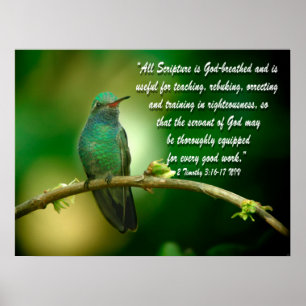 2 Timothy 3:16-17 Christliches Poster Hummingbird