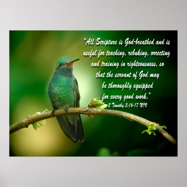 2 Timothy 3:16-17 Christliches Poster Hummingbird (Vorne)