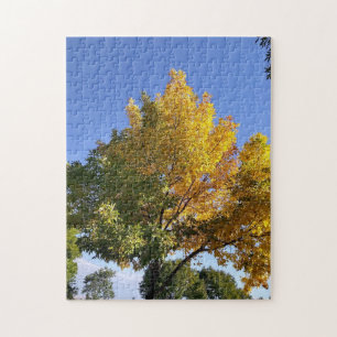 2 Tone Tree