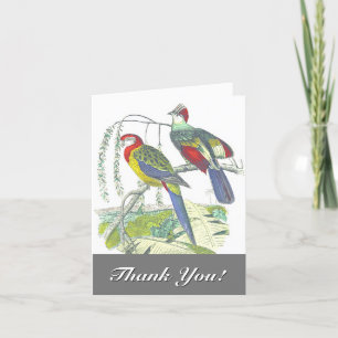 2 Vögel auf einem Zweig, "Danke!" Karte