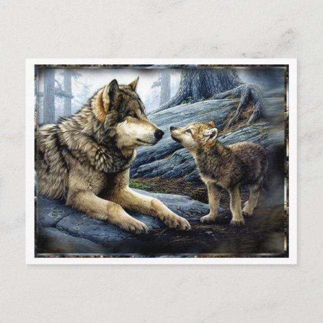 2 Wölfe Postkarte (Vorderseite)