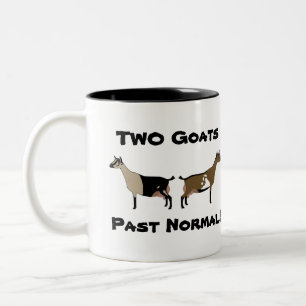 2 Ziegen Früher normal! - nigerianische Zwergzieg Zweifarbige Tasse