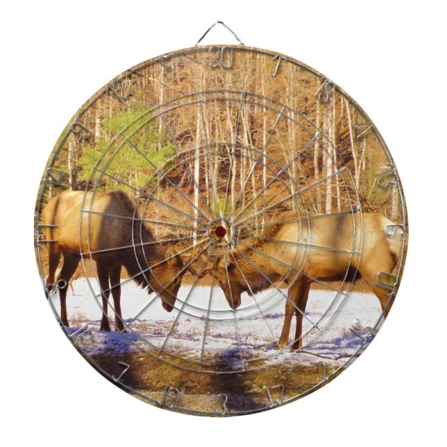 2~ zwei Bull Elk im Schnee Dartscheibe (vorne)