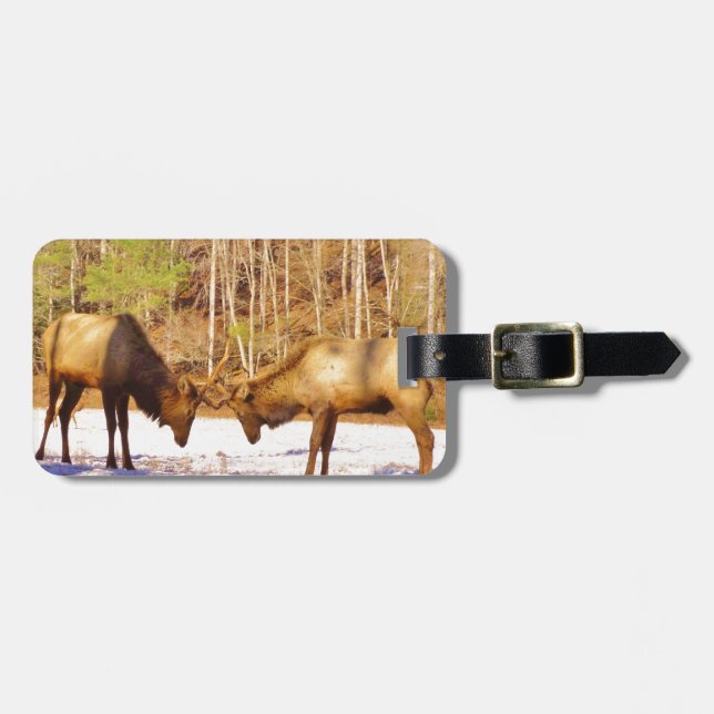 2~ zwei Bull Elk im Schnee Gepäckanhänger (Vorderseite horizontal)