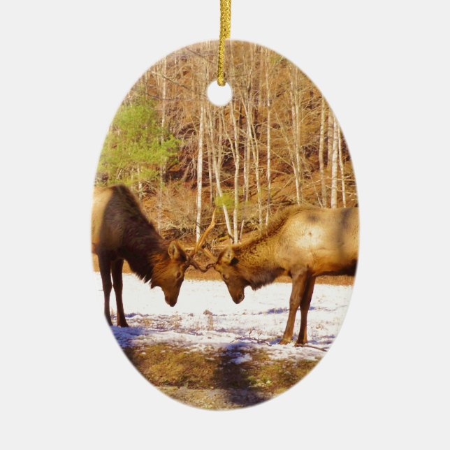 2~ zwei Bull Elk im Schnee Keramik Ornament (Vorne)
