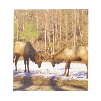 2~ zwei Bull Elk im Schnee Notizblock
