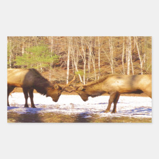 2~ zwei Bull Elk im Schnee Rechteckiger Aufkleber