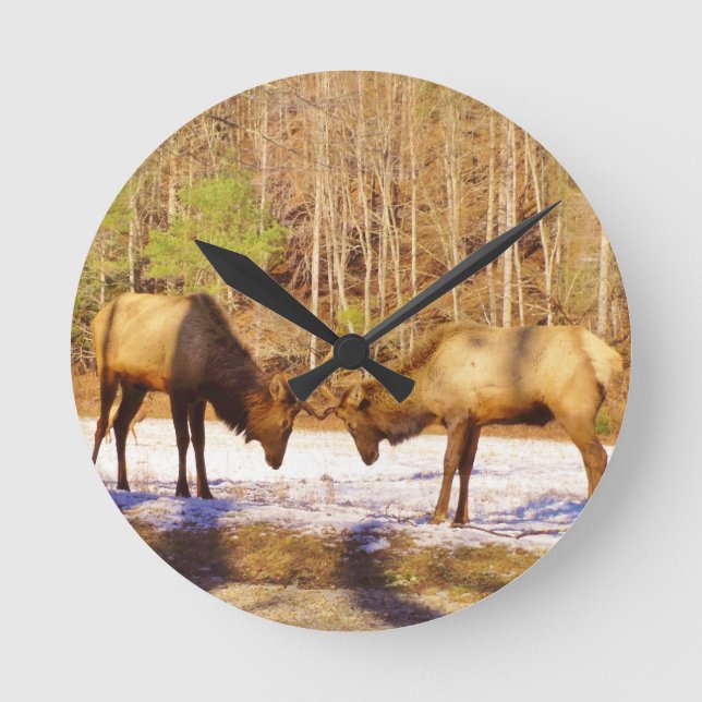 2~ zwei Bull Elk im Schnee Runde Wanduhr (Vorderseite)