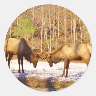 2~ zwei Bull Elk im Schnee Runder Aufkleber