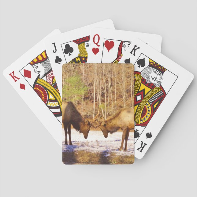 2~ zwei Bull Elk im Schnee Spielkarten (Rückseite)