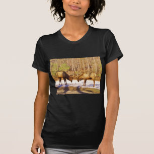 2~ zwei Bull Elk im Schnee T-Shirt