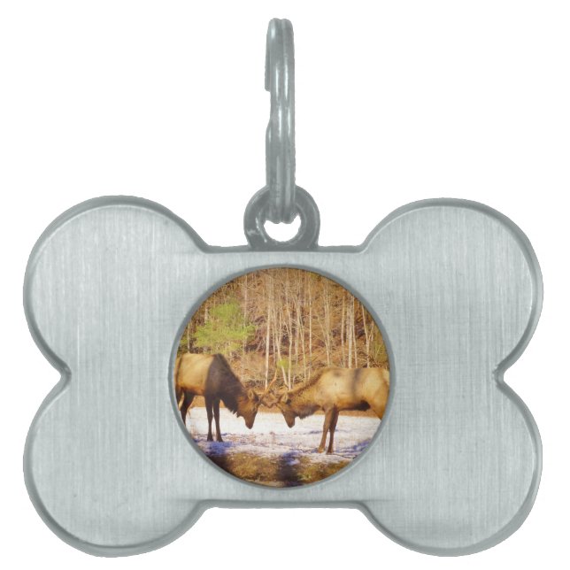 2~ zwei Bull Elk im Schnee Tiermarke (Vorderseite)