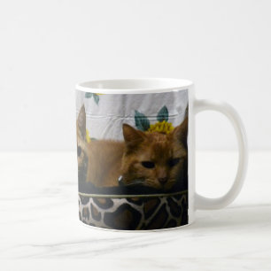 2Cats Kaffeetasse