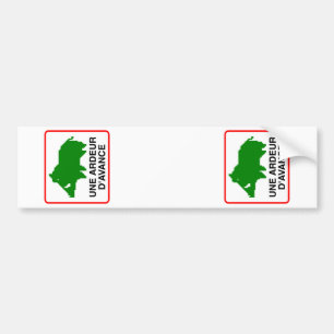 2x STICKER VOITURE SANGLIER ajustables (immatri.)