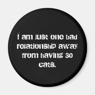 30 aimants pour chats