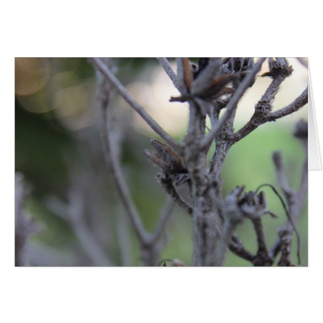 30. April (Vorderseite (Horizontal))