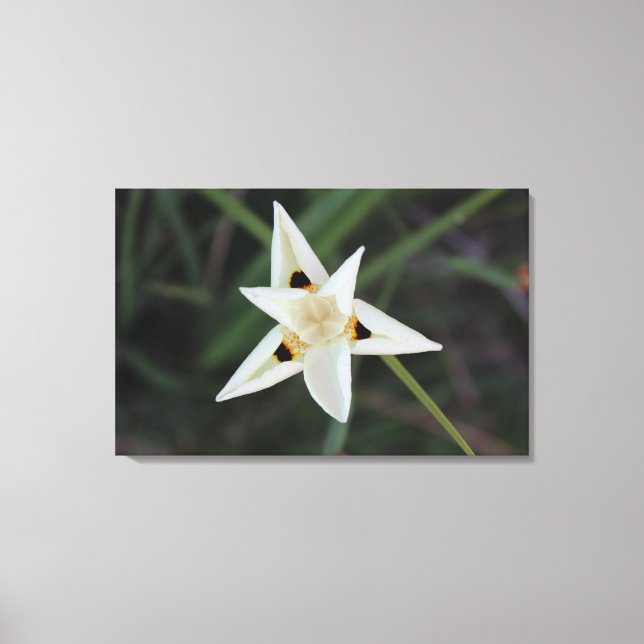 30. April Garden Blume Leinwand (Vorderseite)