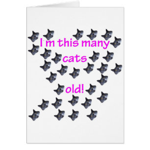 30 Katzen-Köpfe alt