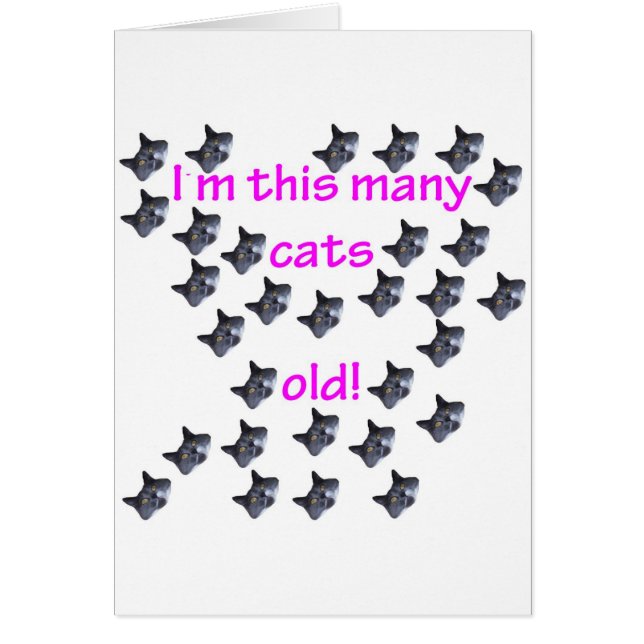 30 Katzen-Köpfe alt (Vorne)