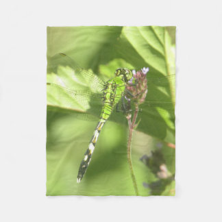 30"x40" Fleece Blanket aus ITW1 Original-Foto