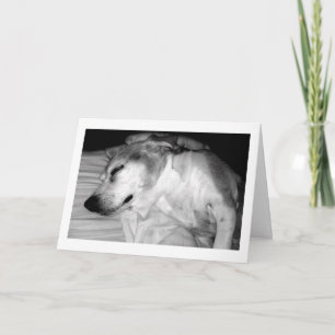 311 Carte Rocks de retraite