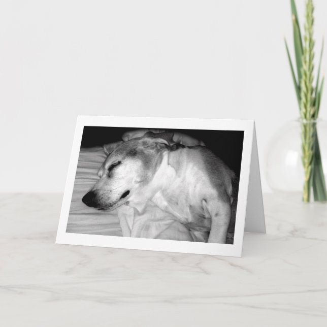 311 Carte Rocks de retraite (Devant)